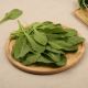 Spinach