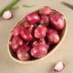 Onion